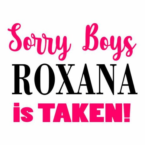 tatuaj-temporar-sorry-boys-roxana-is-taken
